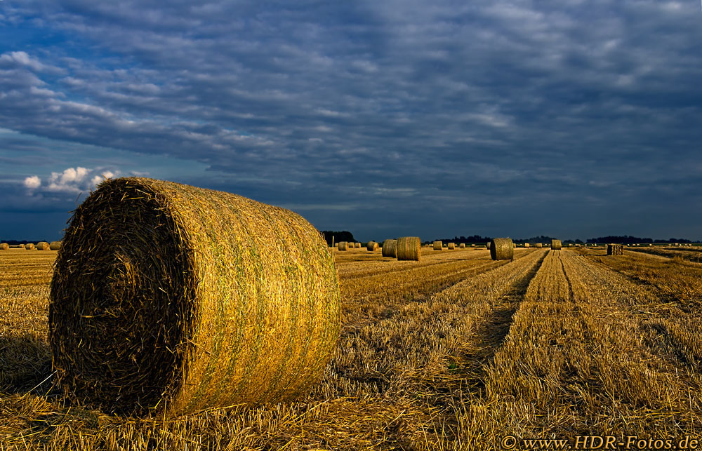 Heuballen auf Feld