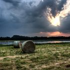 Heuballen - Bales of hay