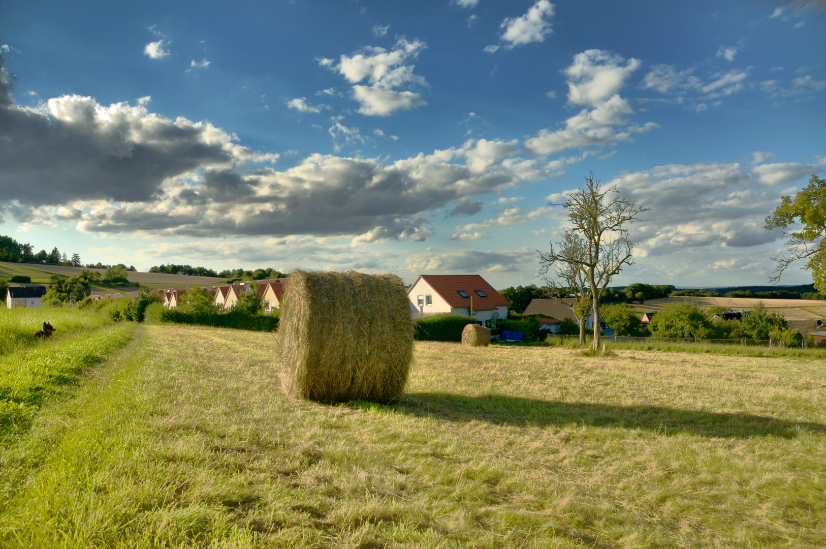 Heuballen