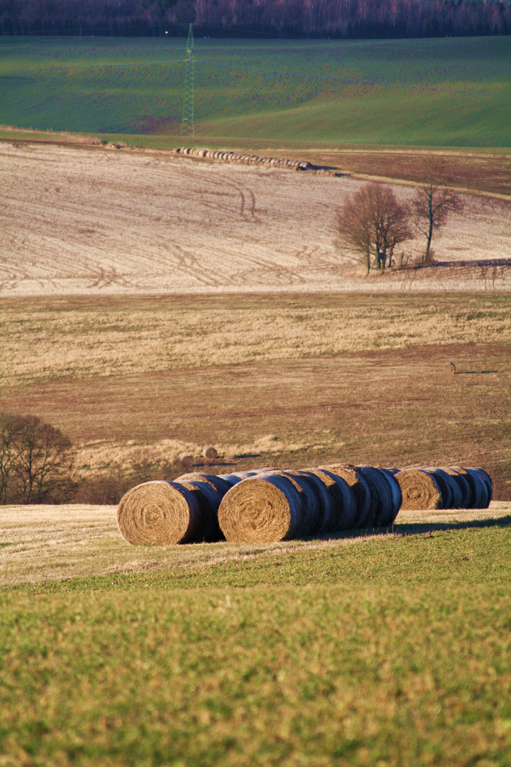 Heuballen