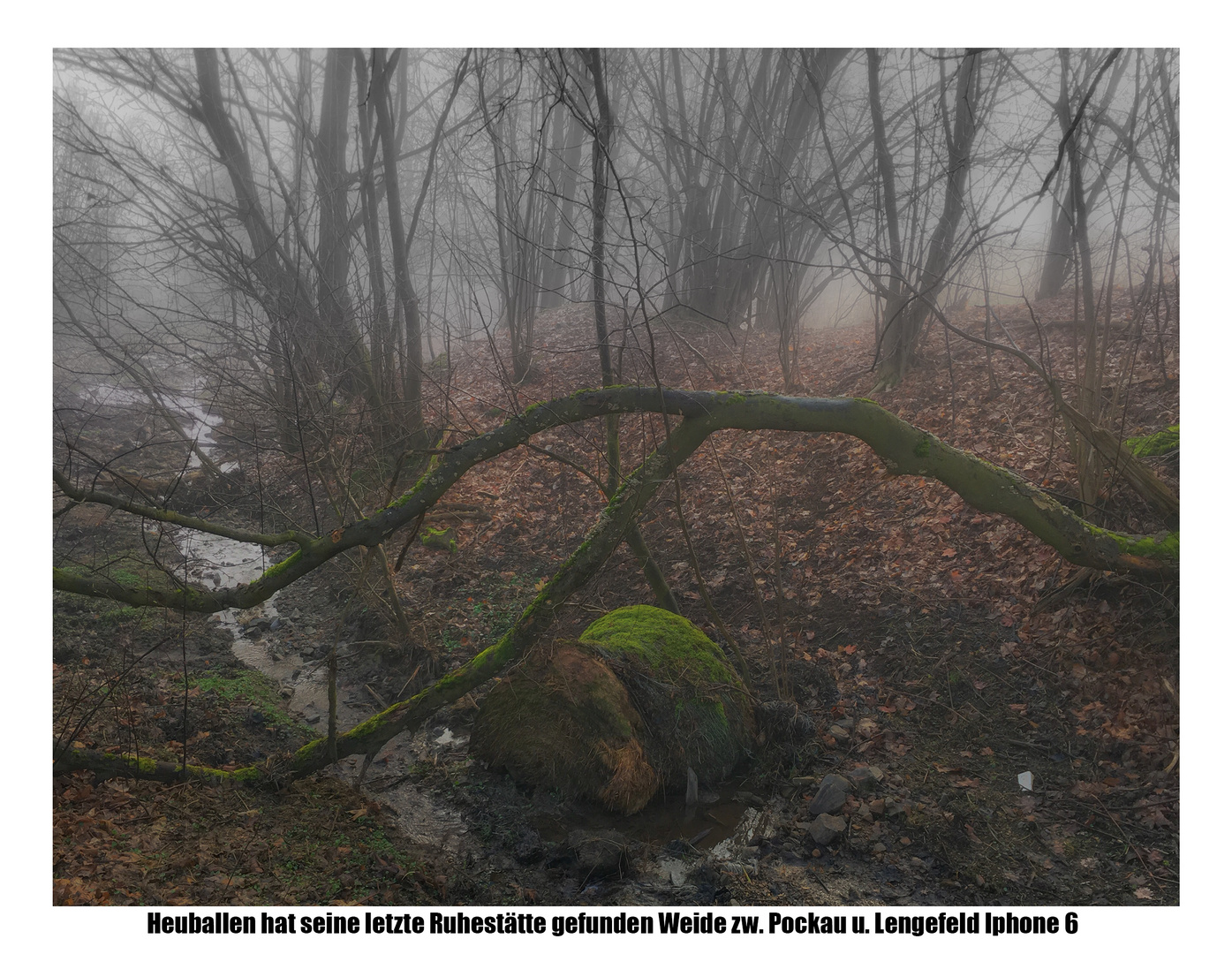 Heuballen findet Ende am Bach 