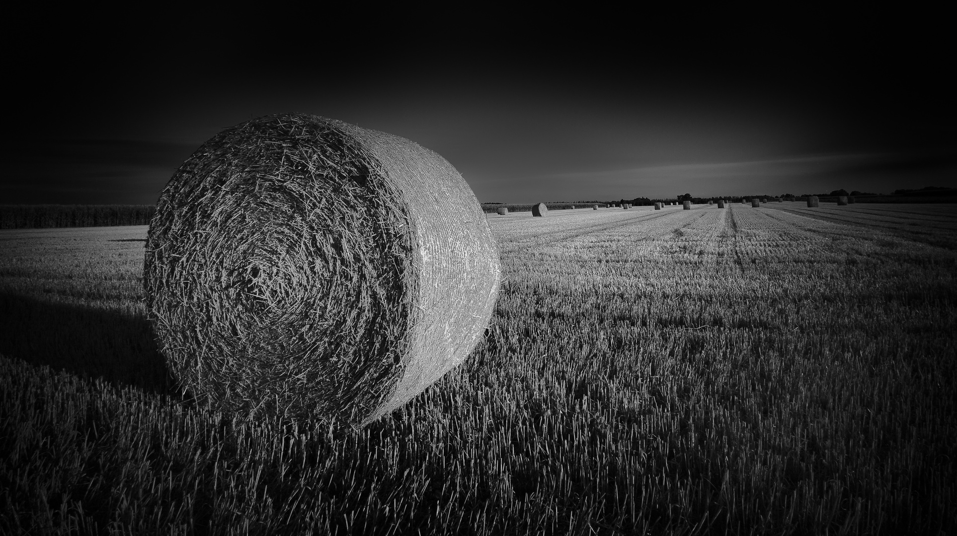 Heuballen im Abendlicht #1