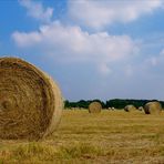 Heuballen im Juni