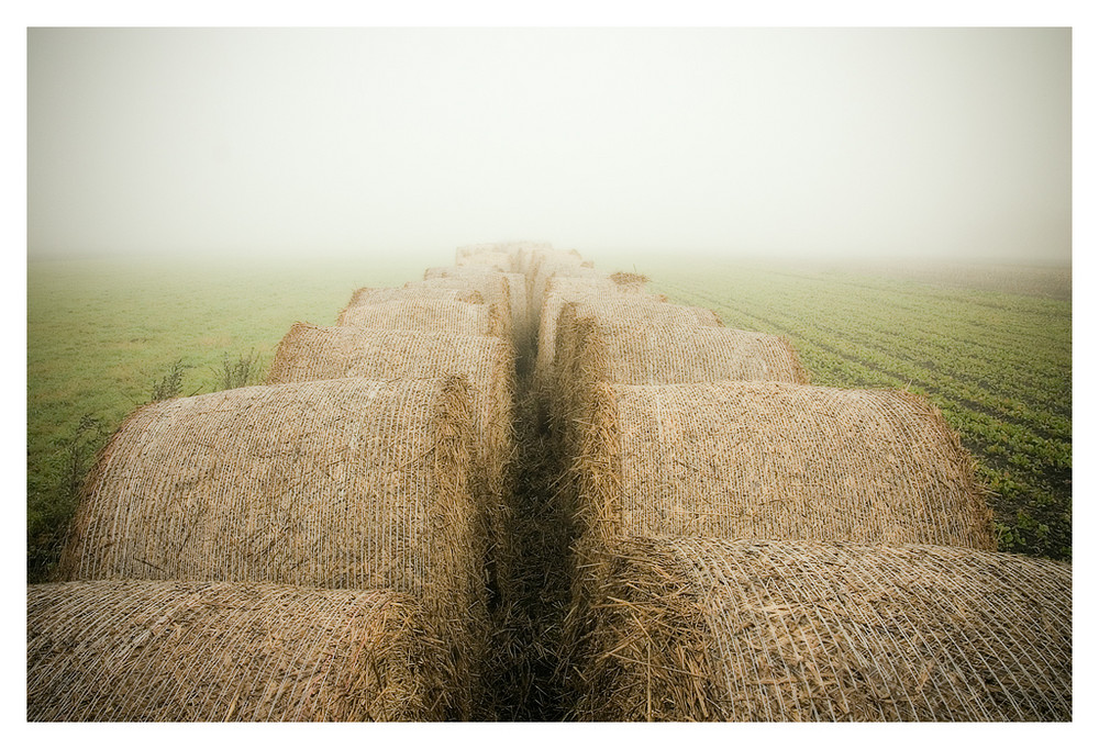 Heuballen im Nebel