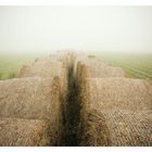 Heuballen im Nebel