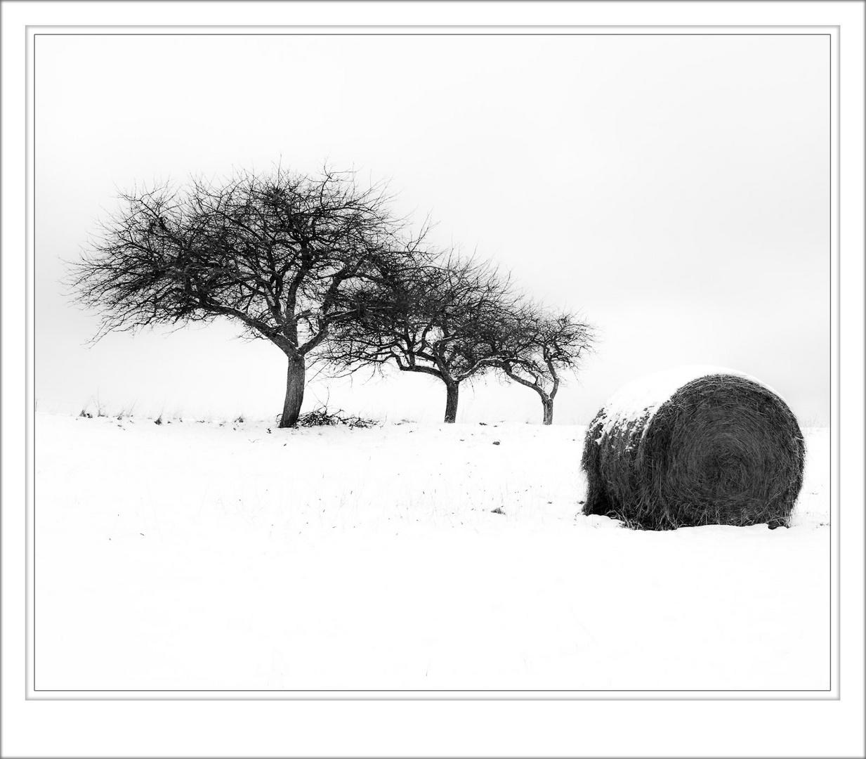 Heuballen im Schnee