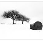 Heuballen im Schnee