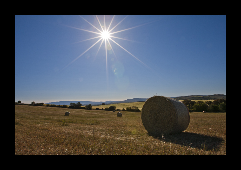 Heuballen im Sonnenlicht