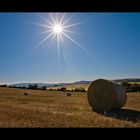 Heuballen im Sonnenlicht