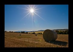 Heuballen im Sonnenlicht