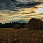 Heuballen im Sonnenuntergang