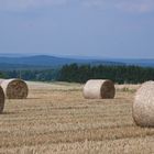 Heuballen im Taunus