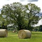 Heuballen in Brandenburg