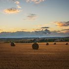 Heuballen in der "Wildniss"