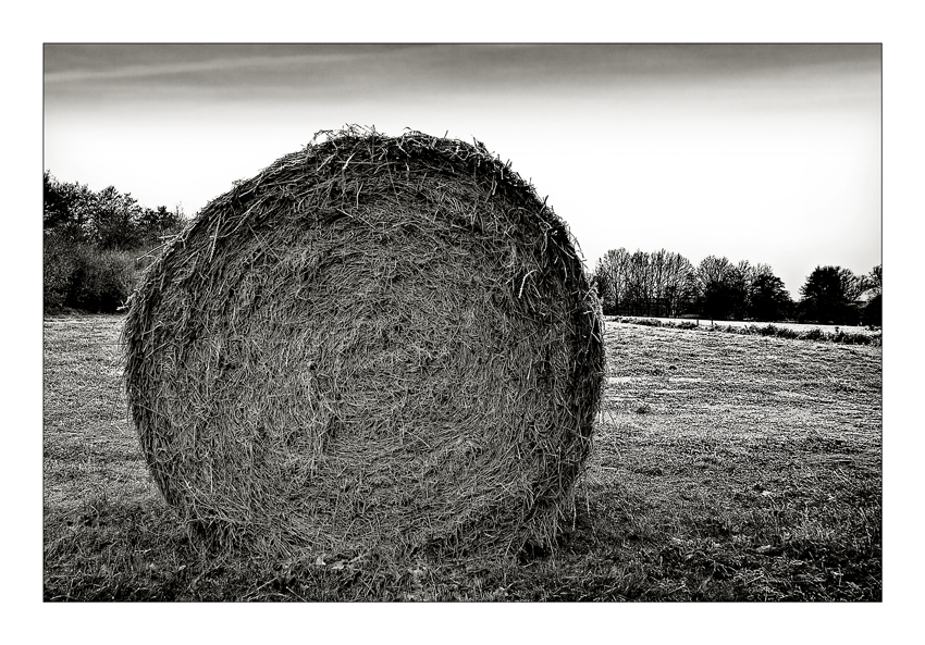 Heuballen oder Strohballen ?