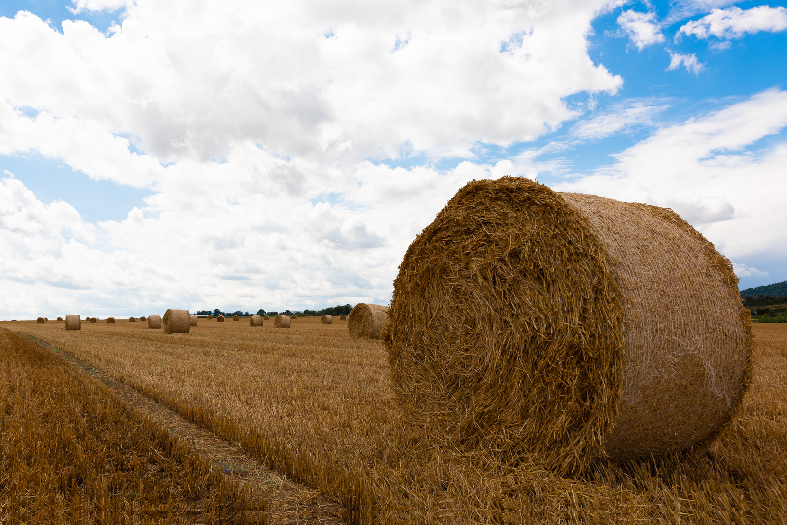 Heuballen so weit das Auge reicht