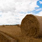 Heuballen so weit das Auge reicht