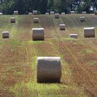 Heuballen so weit das Auge reicht..