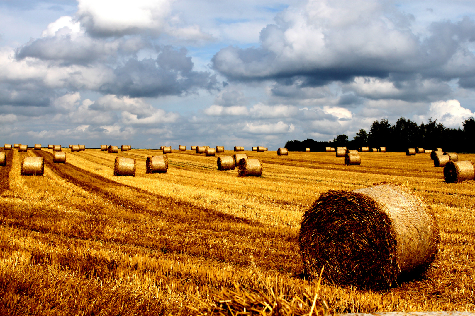 Heuballen warten auf den Regen