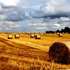 Heuballen warten auf den Regen