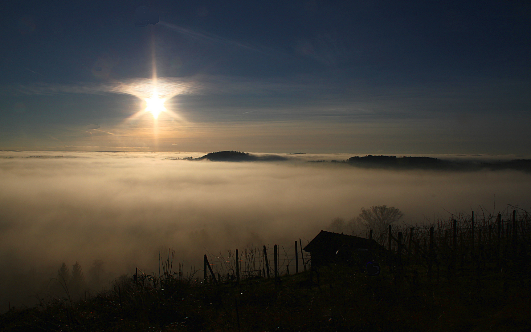 Heuberg und Seebronner Wald