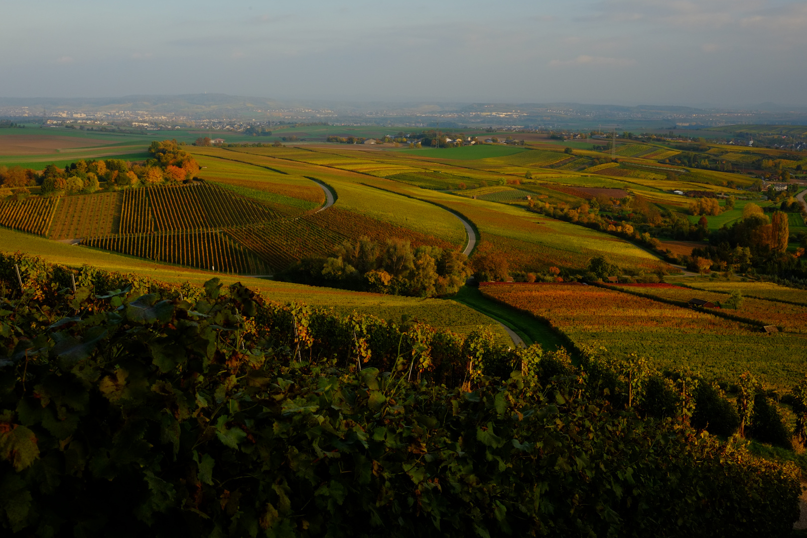 Heuchelberger Herbst