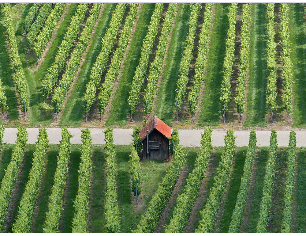 heuchelberger weinberge