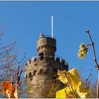 Heuchelbergturm mitTraube