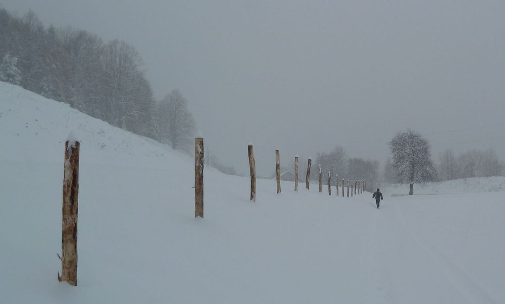 Heuer geh ich hier nimmer!