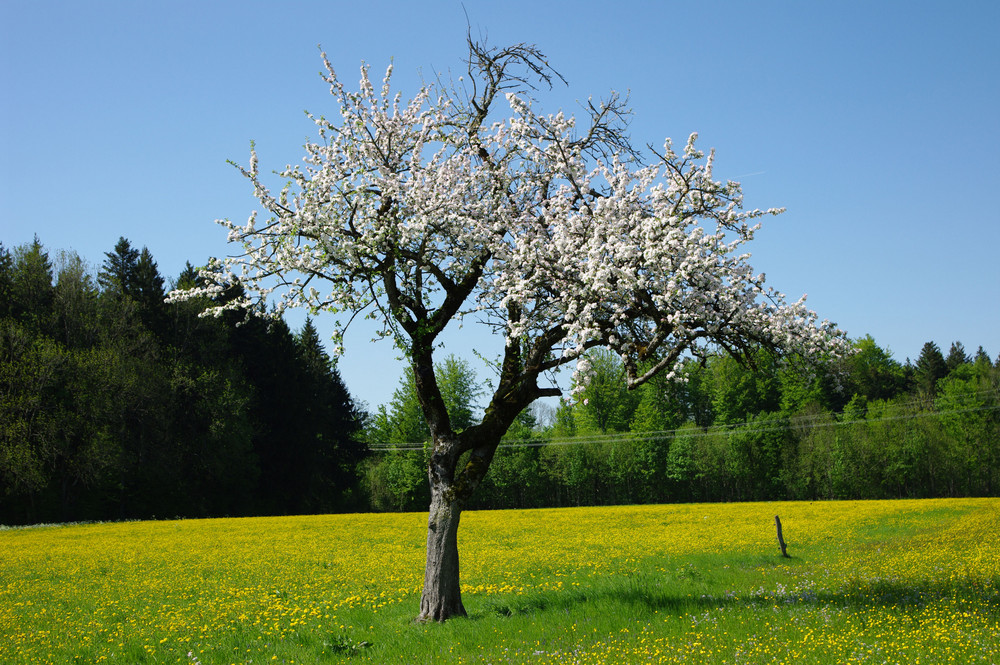 Heuer im Mai