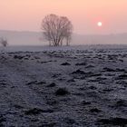 Heuer .... noch nicht vorgekommen