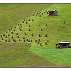 Heuernte an der Unterstaller Alm