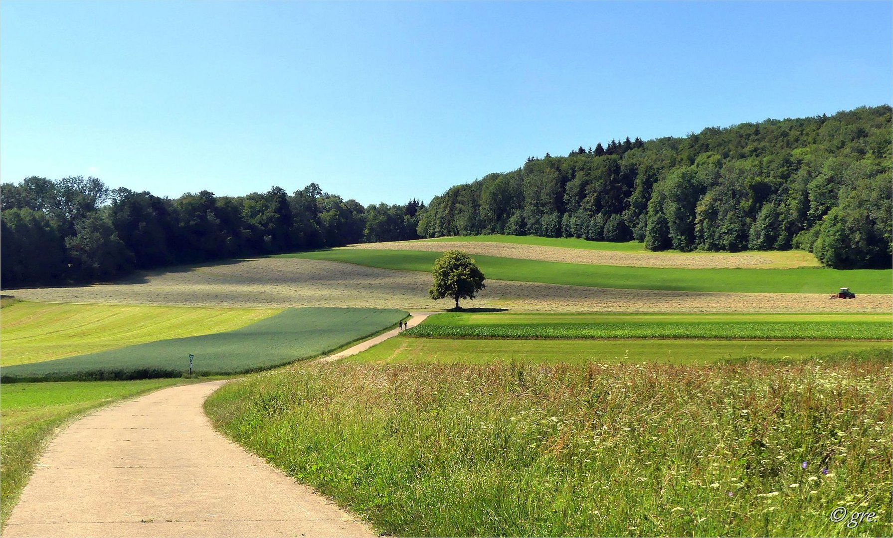 Heuernte auf der Schwäbischen Alb