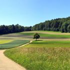 Heuernte auf der Schwäbischen Alb