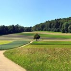 Heuernte auf der Schwäbischen Alb