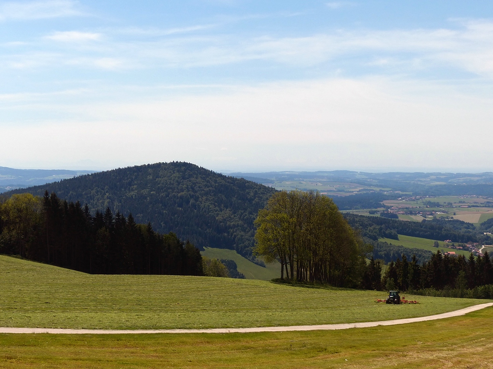 Heuernte auf der Sonnenalm