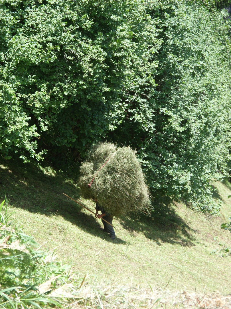 Heuernte auf Stubaitals steilster Wiese