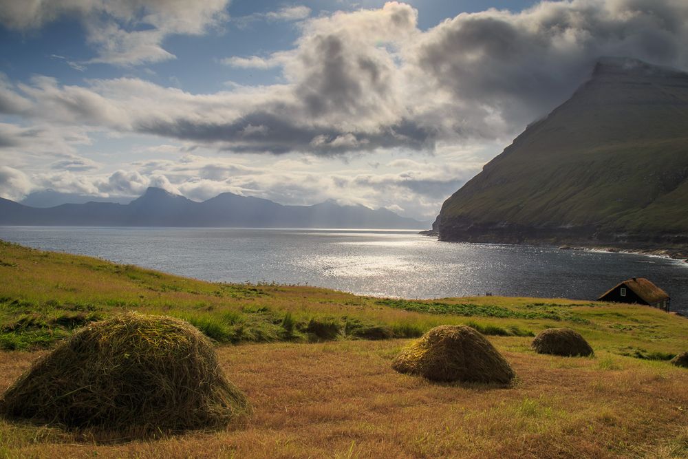 Heuernte bei Gjógv