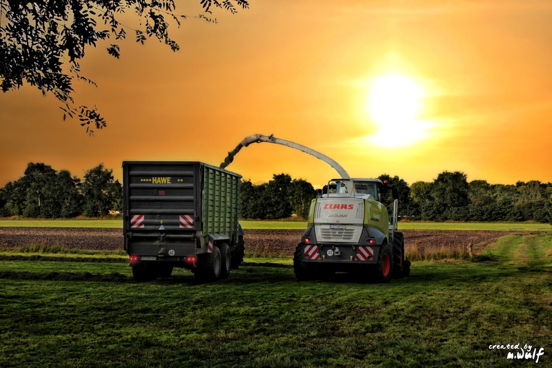 Heuernte bei Sonnenuntergang