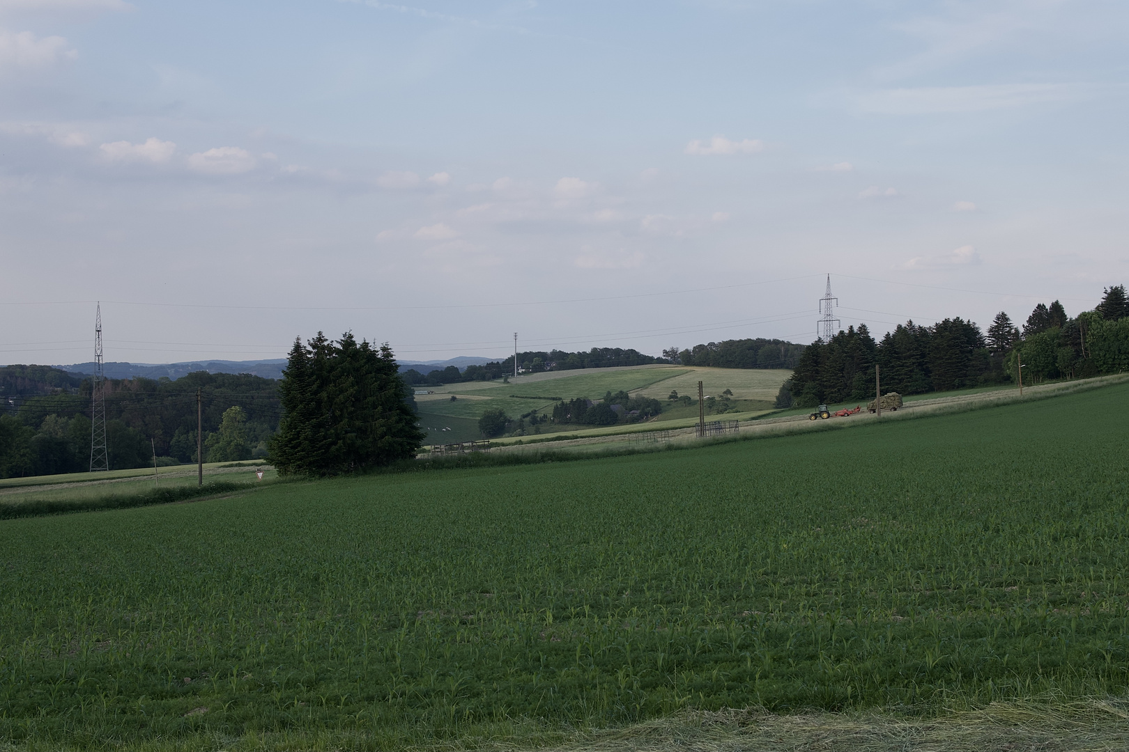 Heuernte früher im Juni.