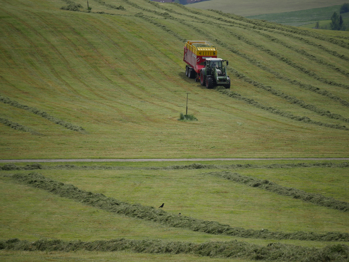 "Heuernte im Allgäu"