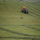 "Heuernte im Allgäu"