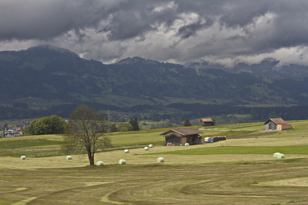 Heuernte im Allgäu