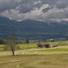 Heuernte im Allgäu