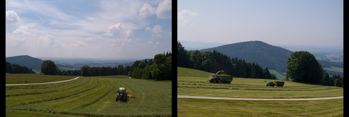 Heuernte im Bayerischen Wald