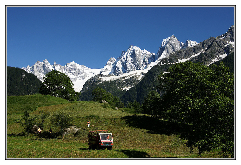 Heuernte im Bergell