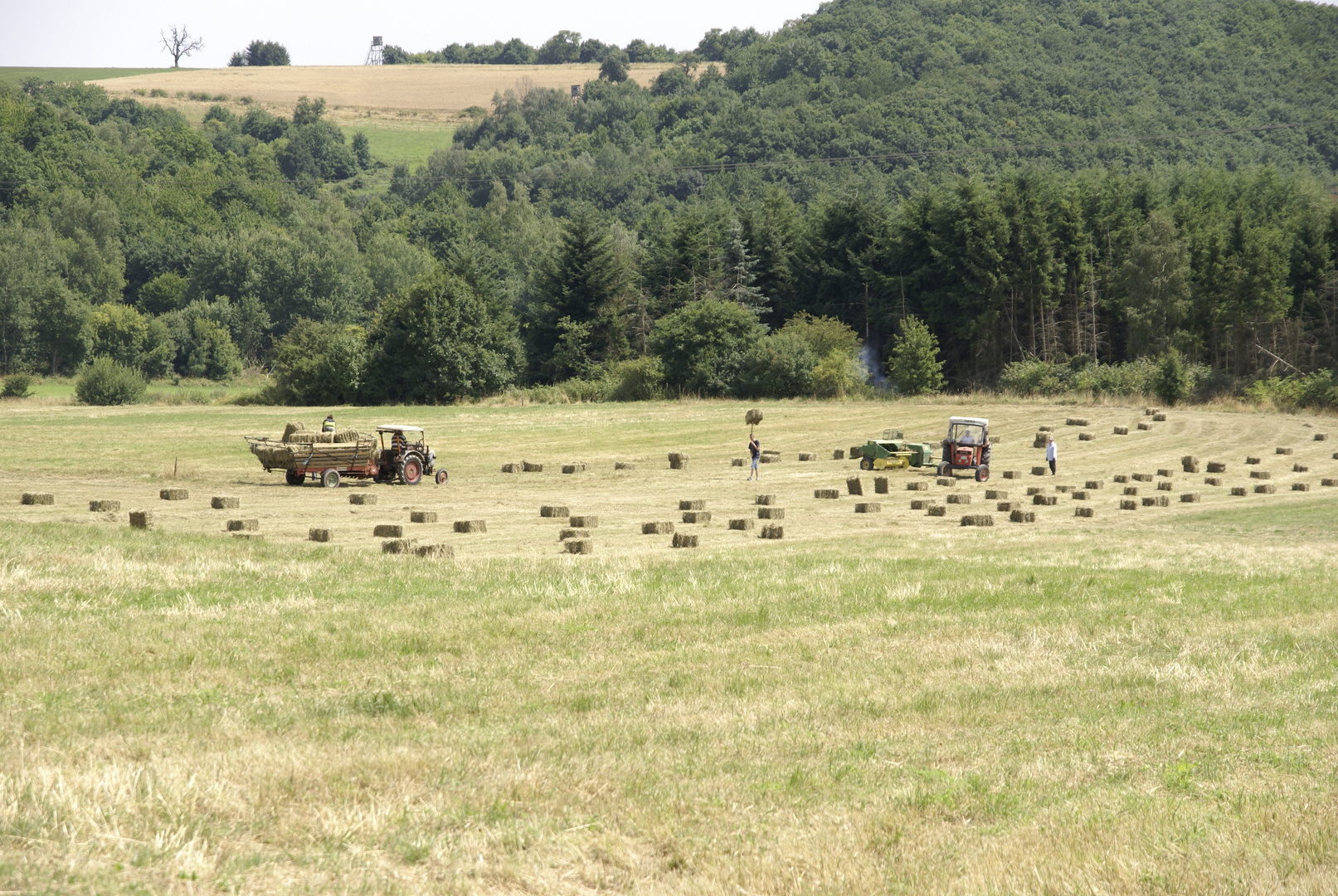 Heuernte im Hunsrück