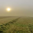 Heuernte im Nebel