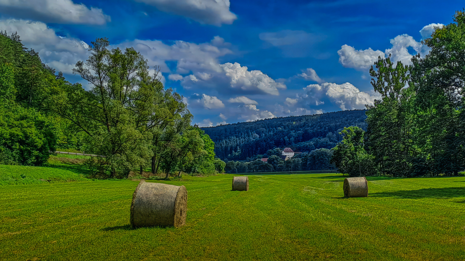 Heuernte im Oberschwandorfer Tal 