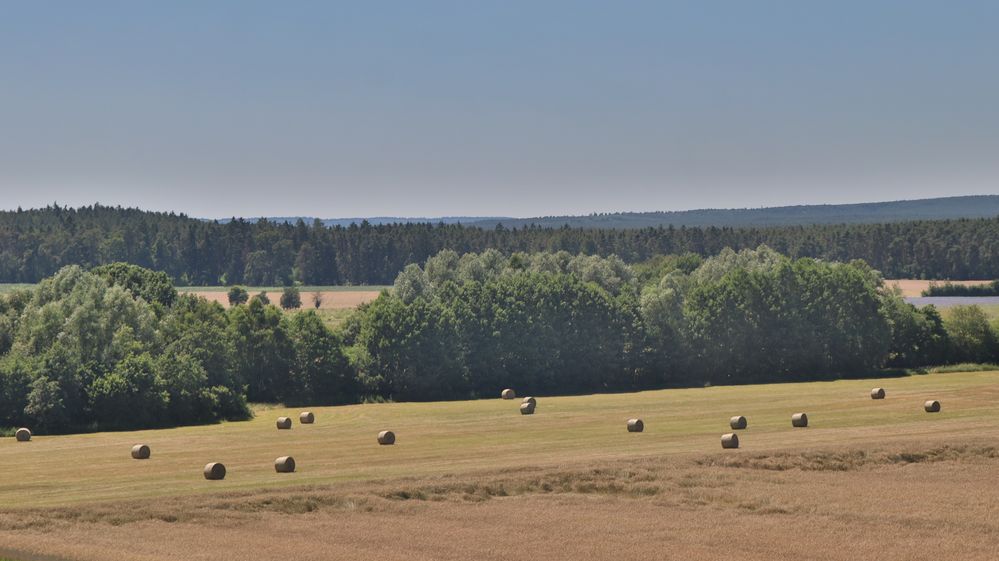 Heuernte im Sommer